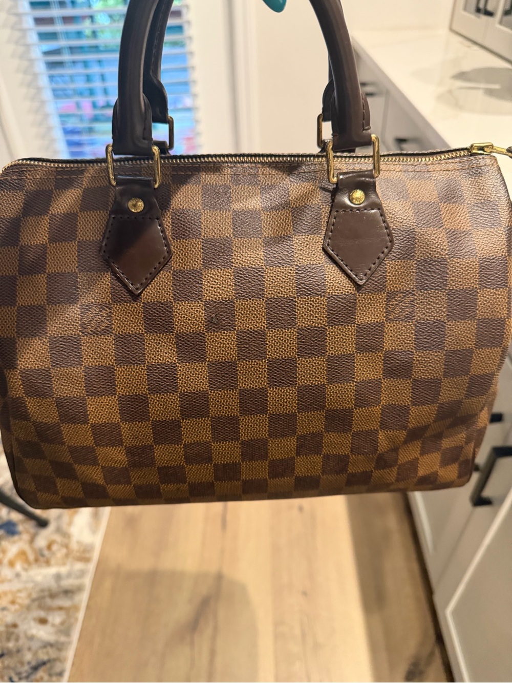 Authentic Louis Vuitton Speedy 30 Ebene